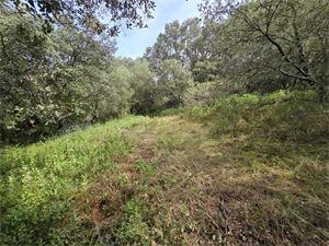 terrain à la vente -   30700  UZES, surface 2630 m2 vente terrain - APR744786